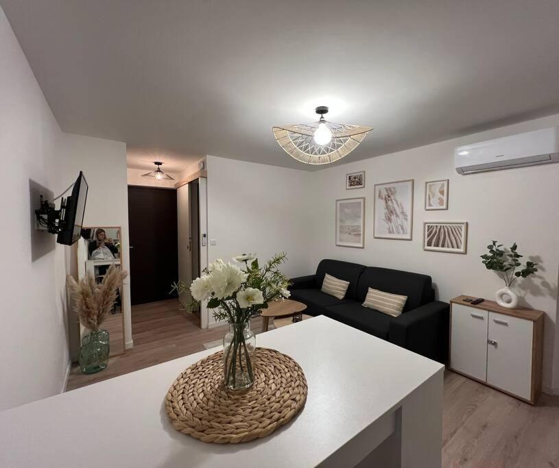 *la Pampa, Studio, Parking, Clim, Hopitaux/fac* * Montpellier